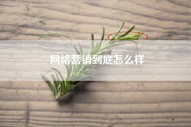 网络营销到底怎么样