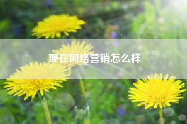 现在网络营销怎么样