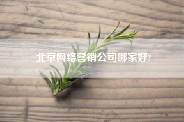 北京网络营销公司哪家好?