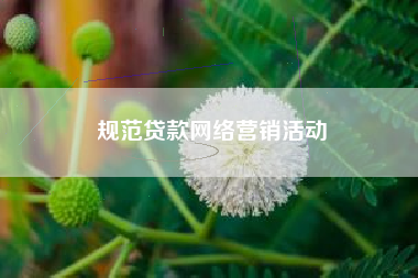 规范贷款网络营销活动