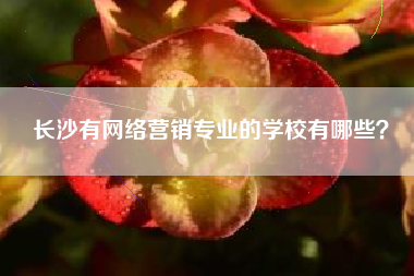 长沙有网络营销专业的学校有哪些？