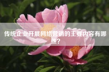 传统企业开展网络营销的主要内容有哪些？