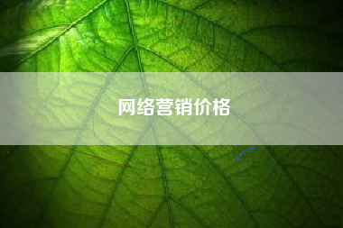 网络营销价格