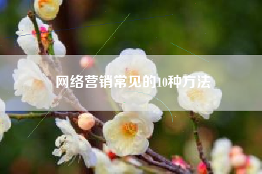 网络营销常见的10种方法