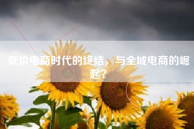 低价电商时代的终结，与全域电商的崛起？