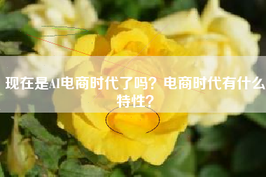 现在是AI电商时代了吗？电商时代有什么特性？