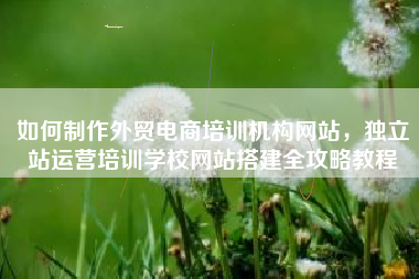 如何制作外贸电商培训机构网站，独立站运营培训学校网站搭建全攻略教程