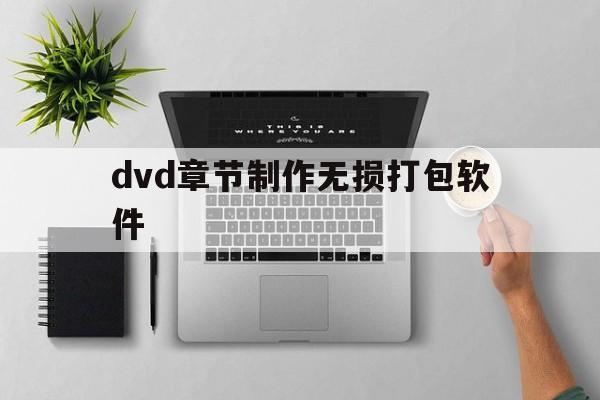 dvd章节制作无损打包软件(dvd章节制作无损打包软件免费)