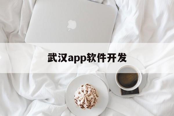 武汉app软件开发(武汉的软件公司主要集中在哪里)