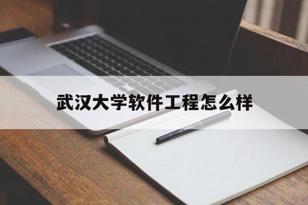 武汉大学软件工程怎么样(软件工程的就业前景和就业方向)