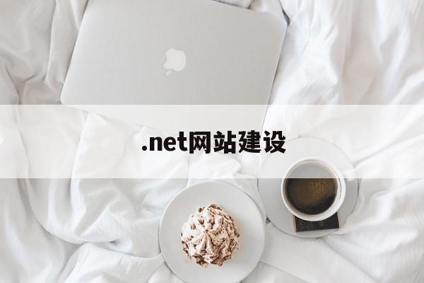 .net网站建设(免费网站建设seo)