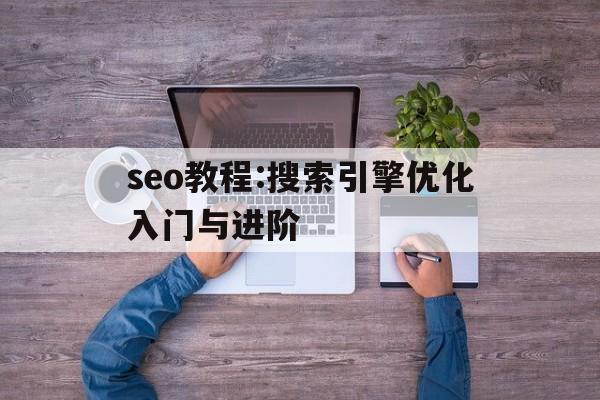 包含seo教程:搜索引擎优化入门与进阶的词条