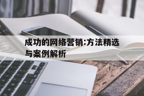 包含成功的网络营销:方法精选与案例解析的词条