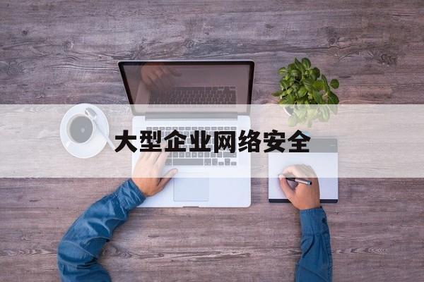 大型企业网络安全(对于企业管理风险,网络安全)