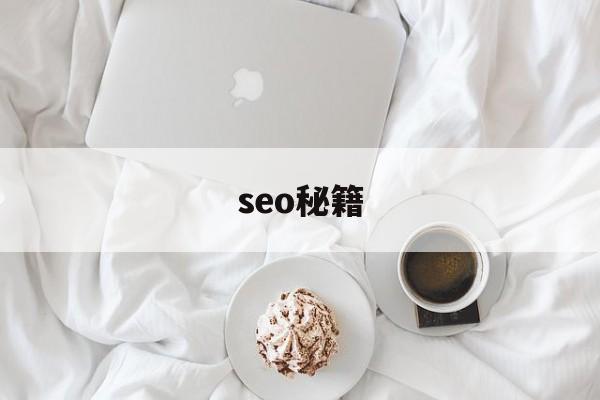 seo秘籍(seo搜索引擎排名优化)