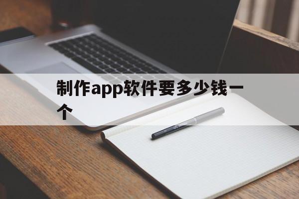 制作app软件要多少钱一个(怎么开发app软件需要多少钱)