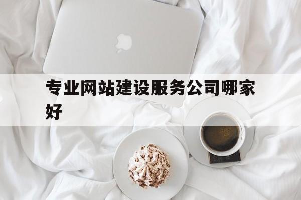 专业网站建设服务公司哪家好的简单介绍