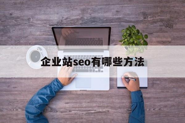 企业站seo有哪些方法(网站seo排名优化工具在线)