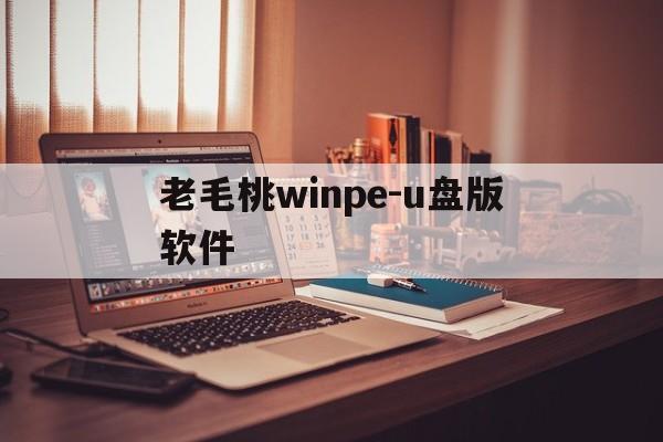 关于老毛桃winpe-u盘版软件的信息