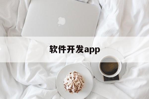 软件开发app(专业安卓app定制开发)