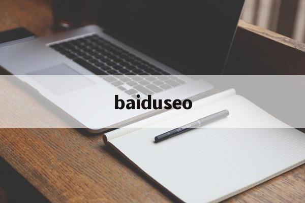 baiduseo(seo网站推广怎么做)