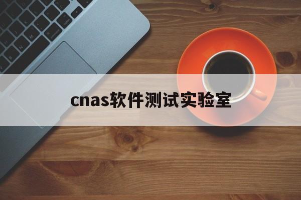 cnas软件测试实验室(CNAS检测认证检测机构)