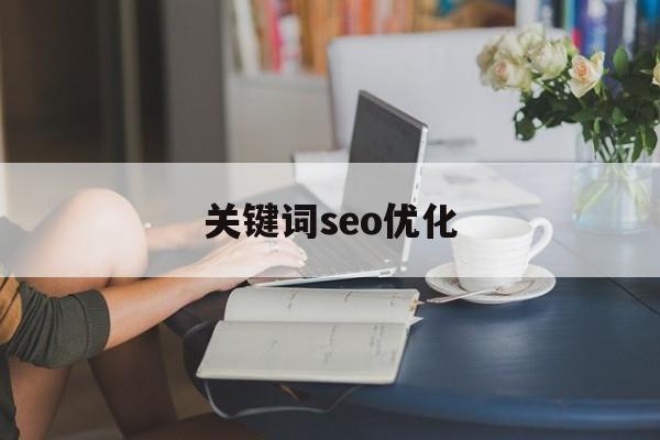 关键词seo优化(seo网站推广怎么做)