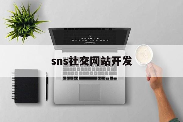 sns社交网站开发(sns平台是什么意思)