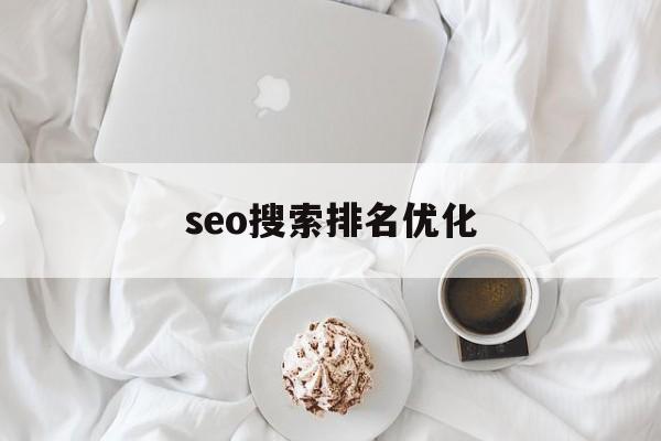 seo搜索排名优化(怎么在百度上做广告推广)