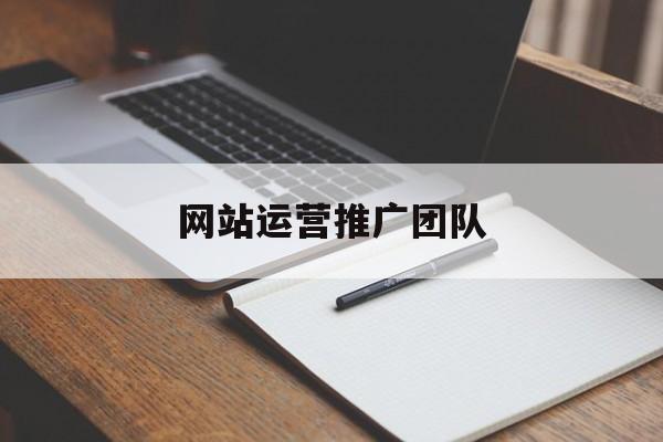 网站运营推广团队(网络推广代运营公司)