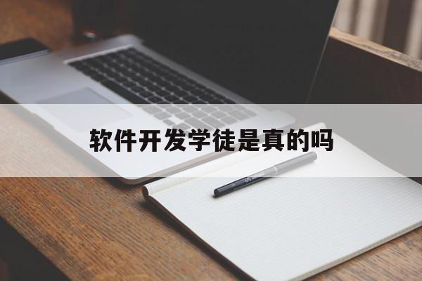 包含软件开发学徒是真的吗的词条