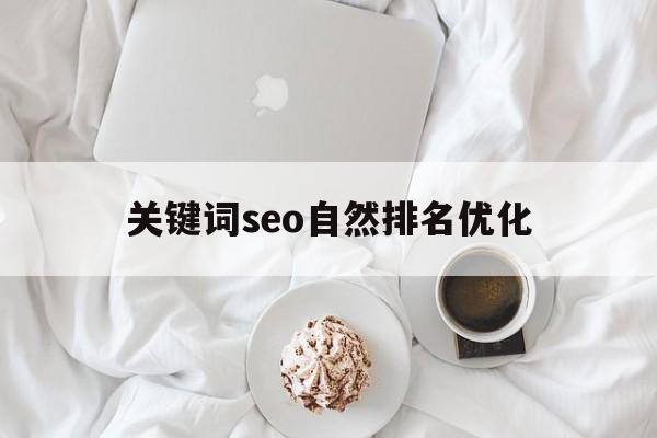 关键词seo自然排名优化(关键词优化排名用什么软件比较好)