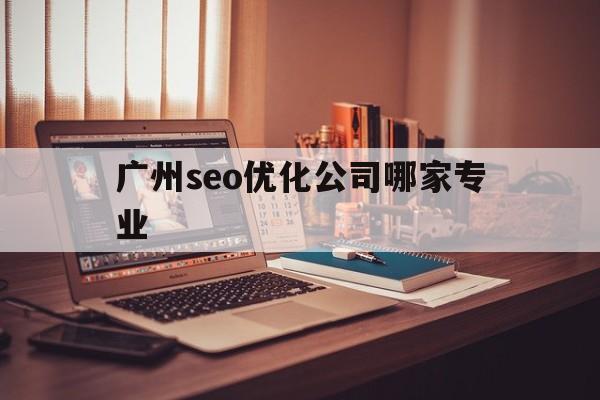 广州seo优化公司哪家专业(广州关键词排名专注乐云seo)